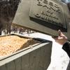 Banks Outdoors Gravity Fed Post Mounted Weatherproof Feed Bank Deer and Game Hunting Feeder with 150 Pound Capacity, Green view 3