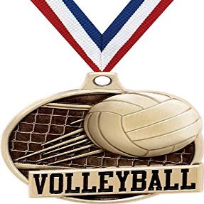 1.5" Volleyball Medal - Gold Volleyball Net Challenger Award Medals 20 Pack