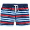 Simple Joys by Carter's Baby Boy's 2-Piece Swimsuit Trunk and Rashguard Swimwear, Blue Shark, 6-9 Months view 3