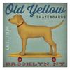 Global Gallery Golden Dog on Skateboard -PaperArt-26 x26 view 1