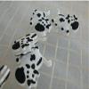 Weiquanji Crow Dampeners for Tennis Badminton Racquetball Squash Racket Damper Tennis Vibration Dampeners (3PCS) view 4