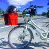 DoggyRide Cocoon XL Bicycle Basket on Britch Rack for Front or Rear Connection view 3