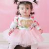 Baby Girls' 1st Birthday Tutu Dress Sleeveless Floral Romper Top Lace Skirt Clothes Easter Outfit 2Pcs (Pink-Long Sleeve, 6-12 Months) view 2