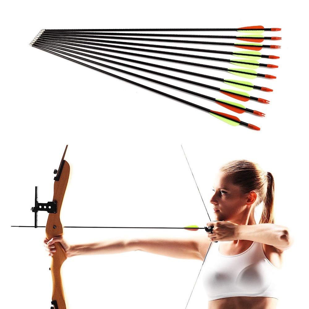 10 Archery Arrows Carbon Fibreglass with Steel Tip Compound or Recurve Bow 31''