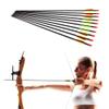10 Archery Arrows Carbon Fibreglass with Steel Tip Compound or Recurve Bow 31'' view 1