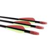 10 Archery Arrows Carbon Fibreglass with Steel Tip Compound or Recurve Bow 31'' view 3