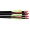 10 Archery Arrows Carbon Fibreglass with Steel Tip Compound or Recurve Bow 31'' view 4