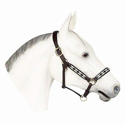 Henri de Rivel Cal Embroidered Leather Halter - Havana - Cob