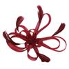 Fascinator Hair Clip Hairpin Cocktail Headwear Flower Headpieces Party Performance Wedding Veil Vintage Headband view 2