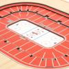 YouTheFan NHL Detroit Red Wings 5-Layer StadiumViews 3D Wall Art, 17" x 13" x 5/8", Brown view 3