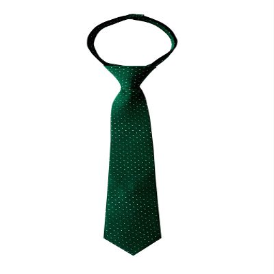 Spring Notion Boy's Dotted Woven Zipper Tie Emerald X-Large