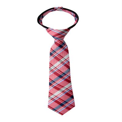 Spring Notion Boy's Tartan Plaid Woven Zipper Tie Red X-Large