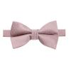 Spring Notion Men's Microfiber Dotted Bow Tie Pink Copper view 1