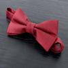 Spring Notion Men's Leather Texture Woven Bow Tie Red view 2