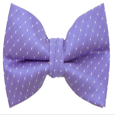 Spring Notion Boy's Dotted Woven Bow Tie Ultra Violet Large