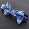 Spring Notion Boy's Plaid Woven Bow Tie Blue Small view 2