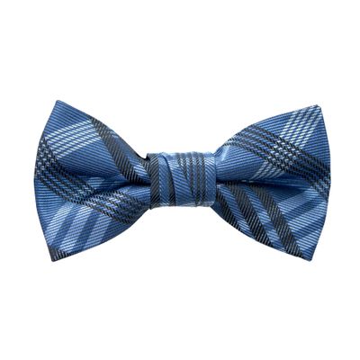 Spring Notion Boy's Plaid Woven Bow Tie Blue X-Large