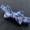 Spring Notion Boy's Tartan Plaid Woven Bow Tie Purple X-Large view 2