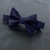 Spring Notion Boy's Dotted Woven Bow Tie Navy X-Large view 2