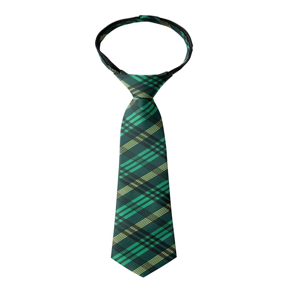Spring Notion Boy's Plaid Woven Zipper Tie Green Large