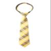 Spring Notion Boy's Plaid Woven Zipper Tie Yellow Small view 1