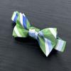 Spring Notion Boy's Striped Woven Bow Tie Green Large view 2