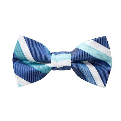 Spring Notion Boy's Striped Woven Bow Tie Blue Large