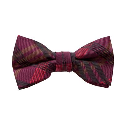 Spring Notion Boy's Plaid Woven Bow Tie Red X-Large