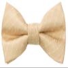 Spring Notion Boy's Dotted Woven Bow Tie Antique Gold Medium view 1