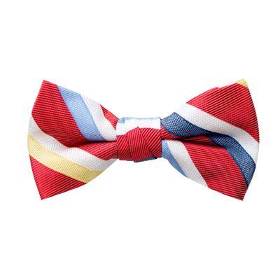 Spring Notion Boy's Striped Woven Bow Tie Red X-Large