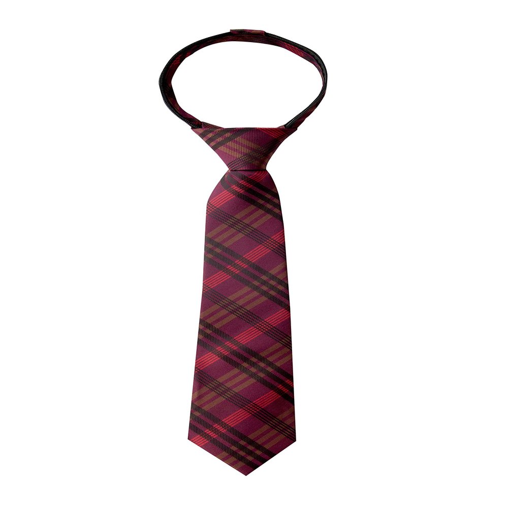 Spring Notion Boy's Plaid Woven Zipper Tie Red Large