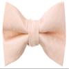 Spring Notion Boy's Dotted Woven Bow Tie Blush Pink Small view 1