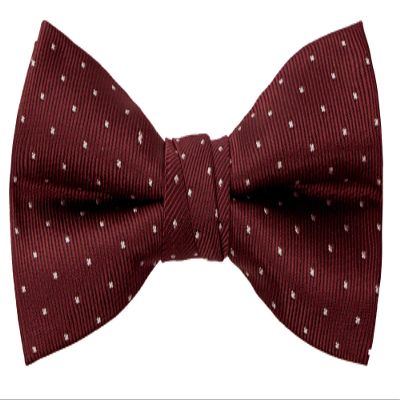 Spring Notion Boy's Dotted Woven Bow Tie Red Medium