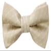Spring Notion Boy's Dotted Woven Bow Tie Champagne X-Large view 1