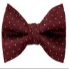 Spring Notion Boy's Dotted Woven Bow Tie Red Large view 1