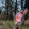 Jurassic Rock 15lb Mammoth Mineral Rock/Salt Lick for Deer and Other Wildlife view 4