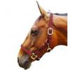 JHL Padded Headcollar (Pony) (Burgundy) view 1