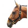JHL Padded Headcollar (Pony) (Burgundy) view 3