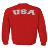 0088. Vintage American Flag United States USA Fonts Graphic 4th of July Memorial Military Patriotic Style Men's Crewneck Sweatshirt (Red, Medium) view 3
