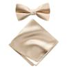 Spring Notion Men's Solid Color Satin Microfiber Bow Tie and Hankerchief Set Champagne view 1