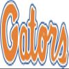 4 Inch Gators Text Logo Decal UF University of Florida FL Removable Wall Sticker Art NCAA Home Room Decor 4 by 1 3/4 Inches view 1
