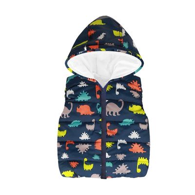 Baby Toddler Girls Boys Waistcoat Coat Autumn Winter Clothes 2-6 Years Old,Kid Cartoon Dinosaur Hooded Tops Vest (3-4 Years Old, Navy)