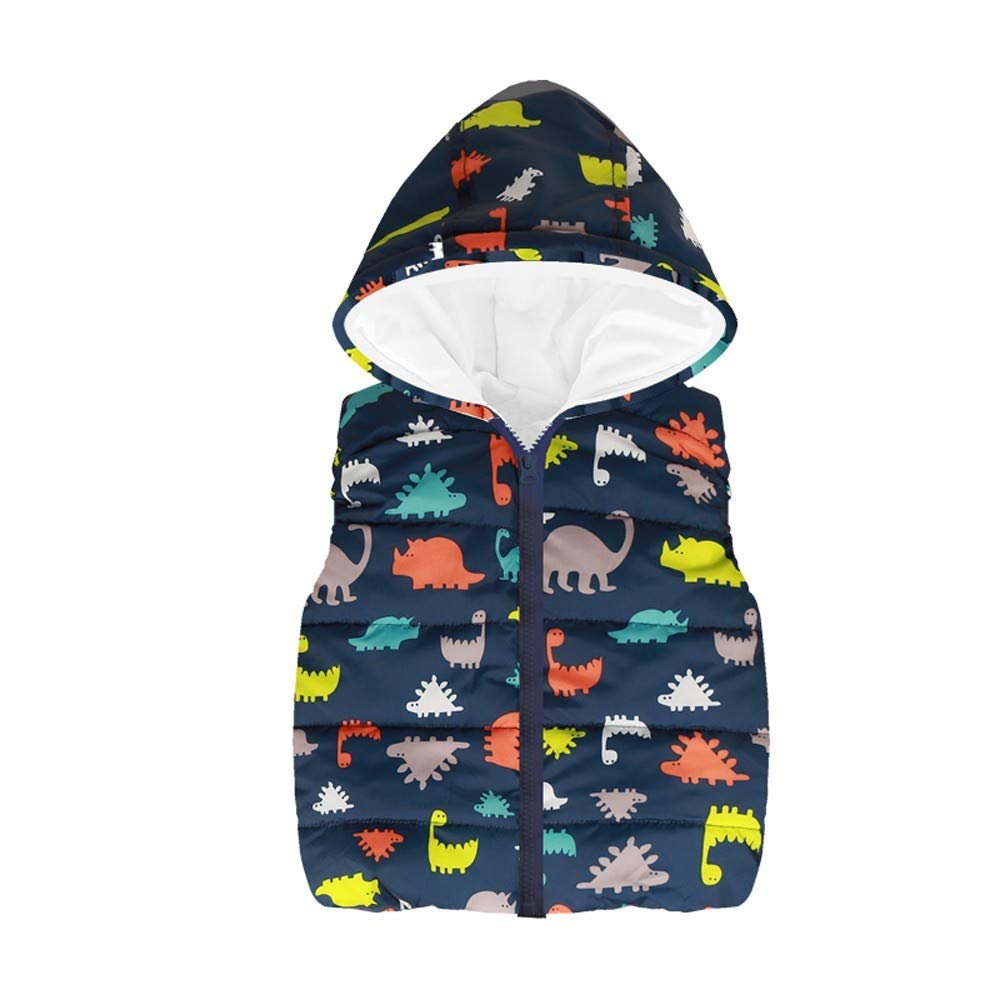 Baby Toddler Girls Boys Waistcoat Coat Autumn Winter Clothes 2-6 Years Old,Kid Cartoon Dinosaur Hooded Tops Vest (3-4 Years Old, Navy)