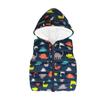 Baby Toddler Girls Boys Waistcoat Coat Autumn Winter Clothes 2-6 Years Old,Kid Cartoon Dinosaur Hooded Tops Vest (3-4 Years Old, Navy) view 1