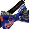 EmilyRose Couture Sports Theme Bow Ties- Gators, Hurricanes, Michigan, Bulls (Large, Gator Glitters) view 2