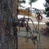 Hornet Outdoors Stay-Put Quick Hook Fits 1" Square Tube TSH-21 Two Accessory Hook. Hunting Bow Hooks 2 Pack view 3