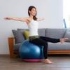 (Relaxing Work) HATACHI StayPlus Gym Ball, 25.6 inches (65 cm) view 3