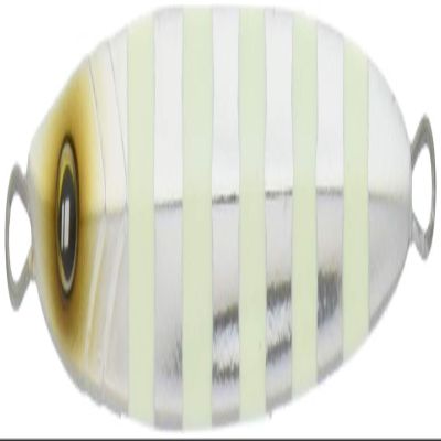 Major Craft Metal Jig, Tajigi Dojo Slow Fall Jig, TJD SLOW-100#1 ZEBLA Glow 3.5 oz (100 g)