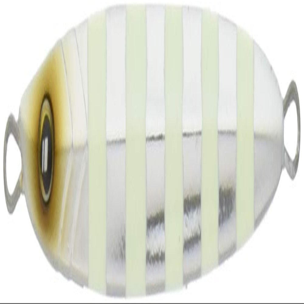 Major Craft Metal Jig, Tajigi Dojo Slow Fall Jig, TJD SLOW-100#1 ZEBLA Glow 3.5 oz (100 g)