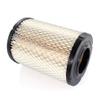 AISEN Air Filter for Marathon 73-94 Club Car 84-91 Ezgo Club Gas Golf Cart 1013379 1012506 14416-G1 view 2
